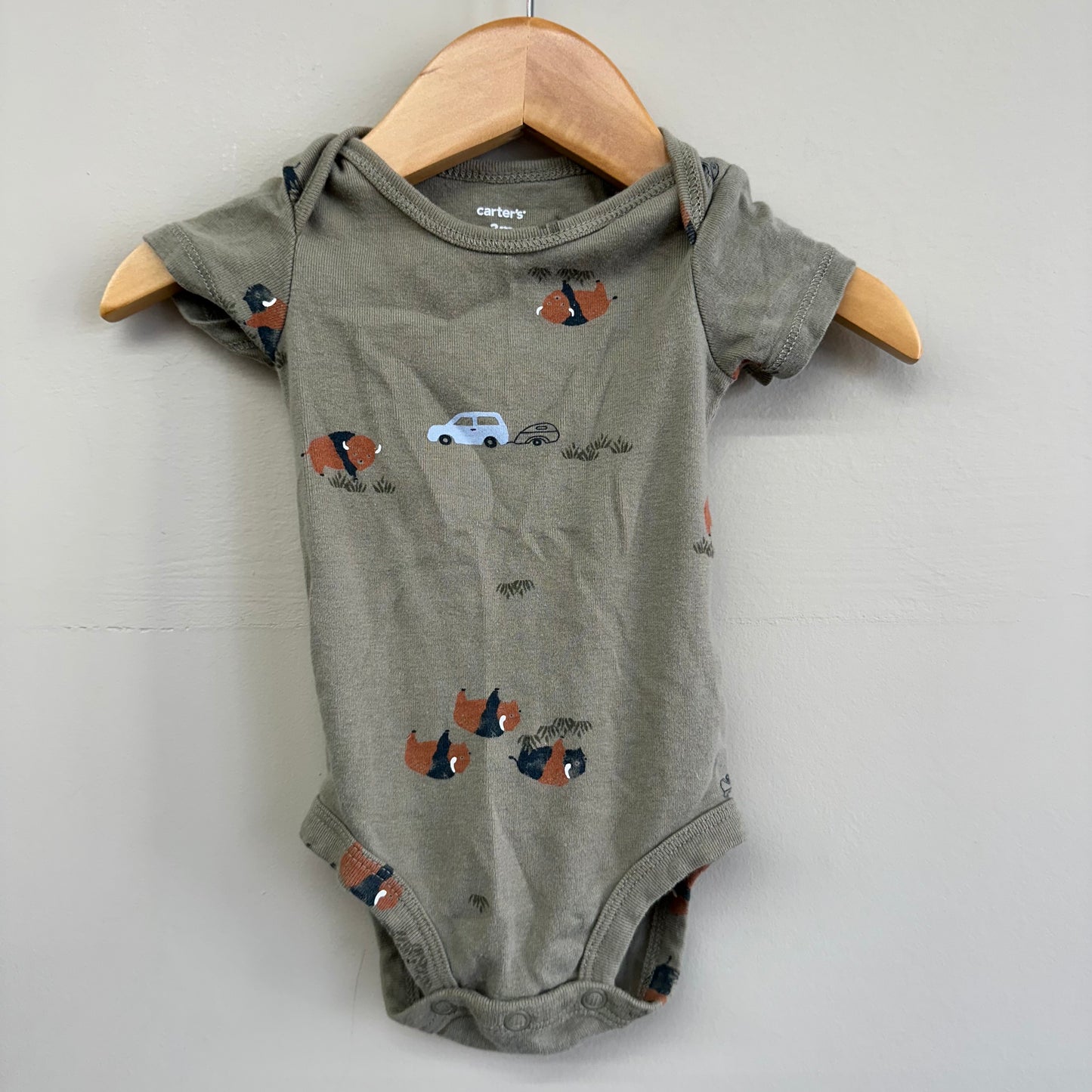 EUC Carters 3M Green Buffalo Onesie