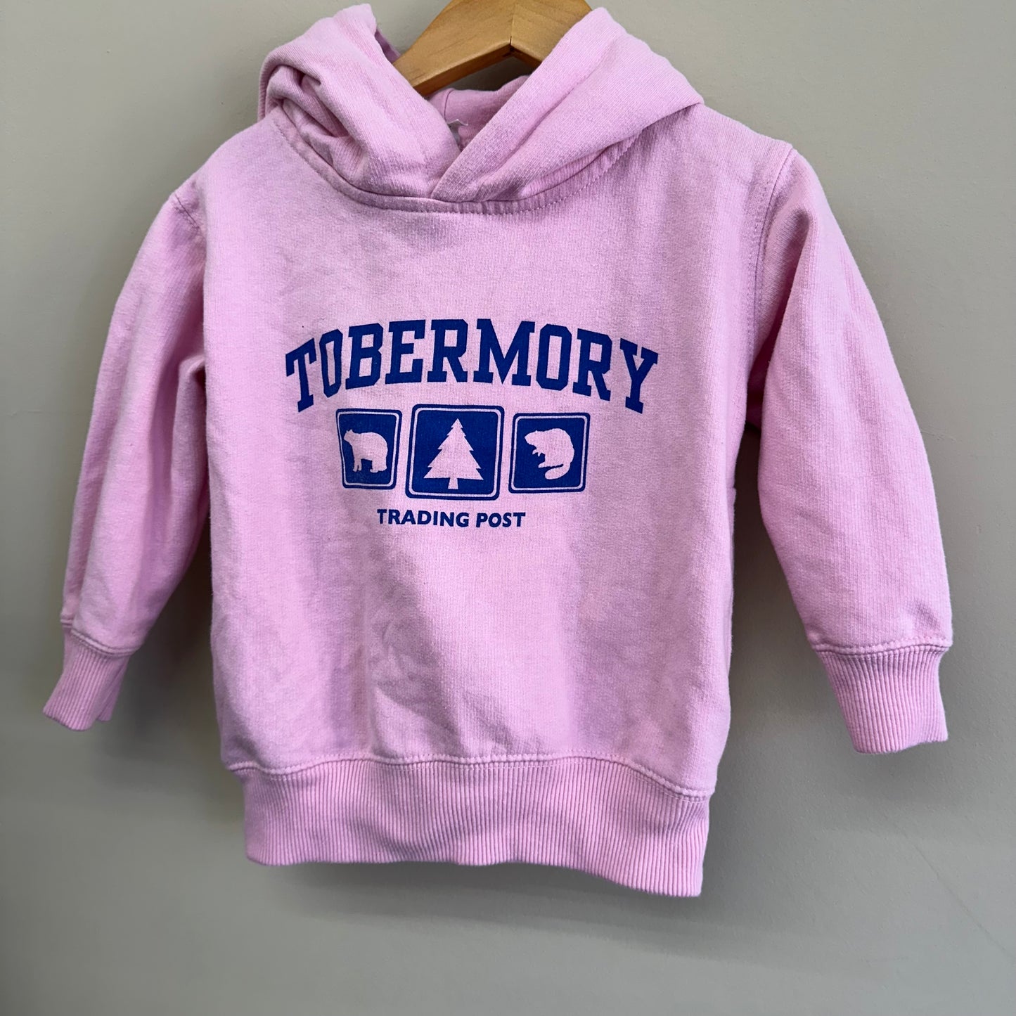 EUC Tobermory 2T Pink Hoodie