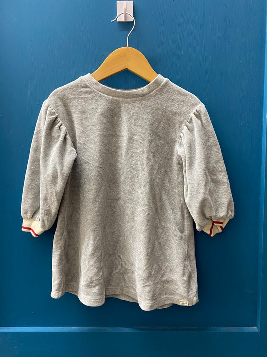 EUC Roots 2T Grey velour LS Dress