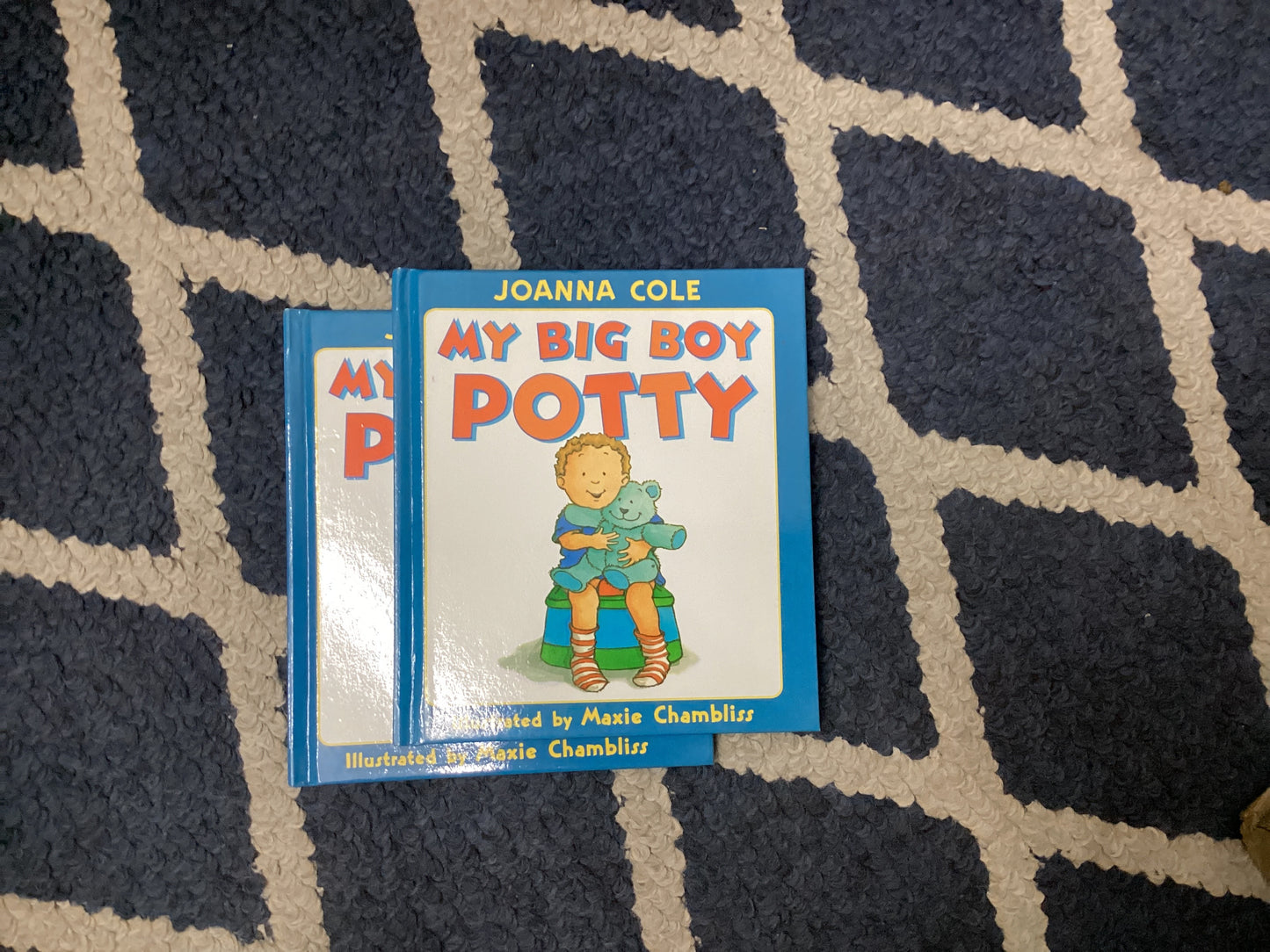 My Big Boy Potty