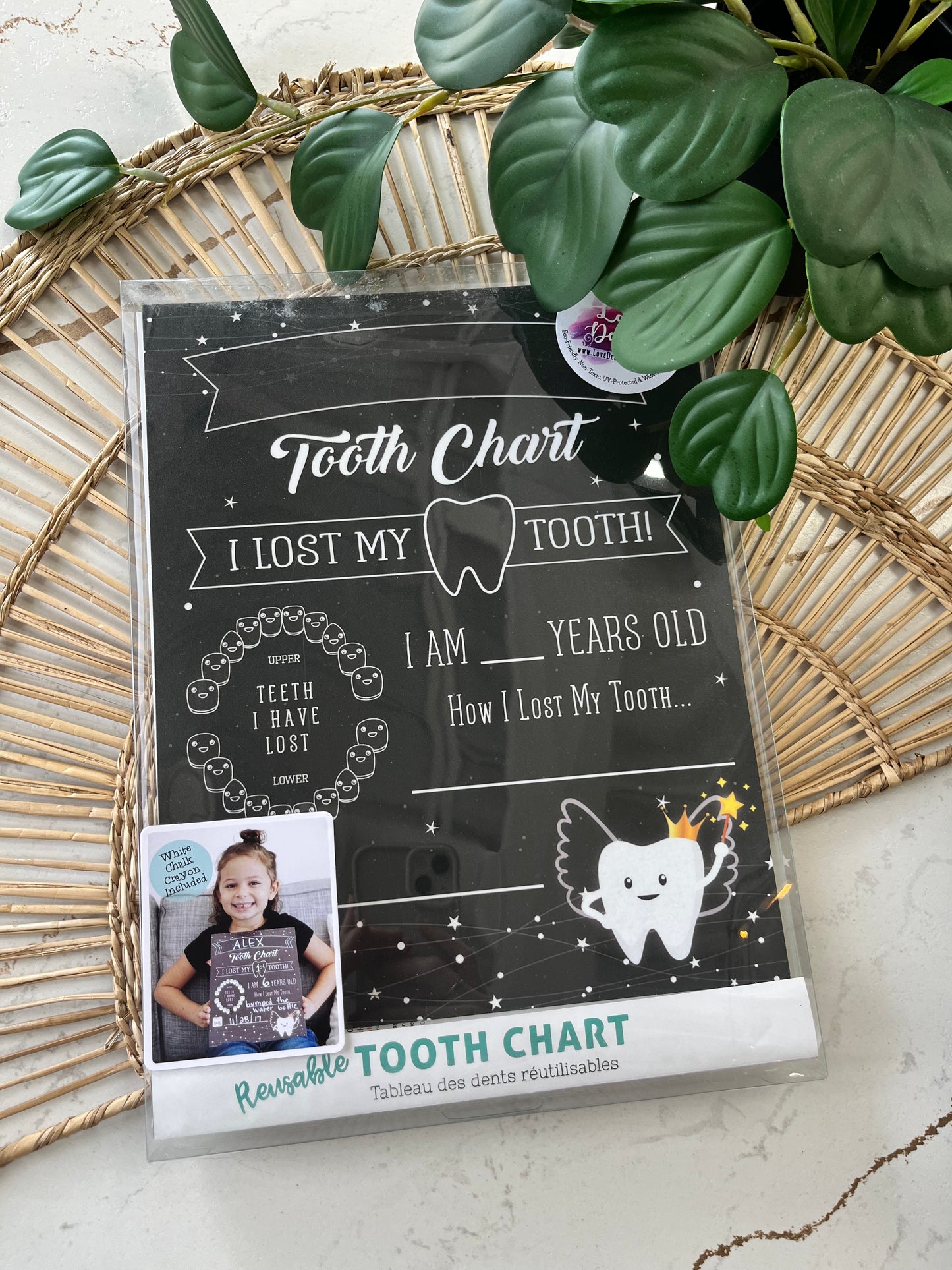 Tooth Chart