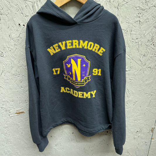 EUC Mad Engine Lg(10/12Y) Grey/Purple/Yellow “NeverMore Academy” Hoodie