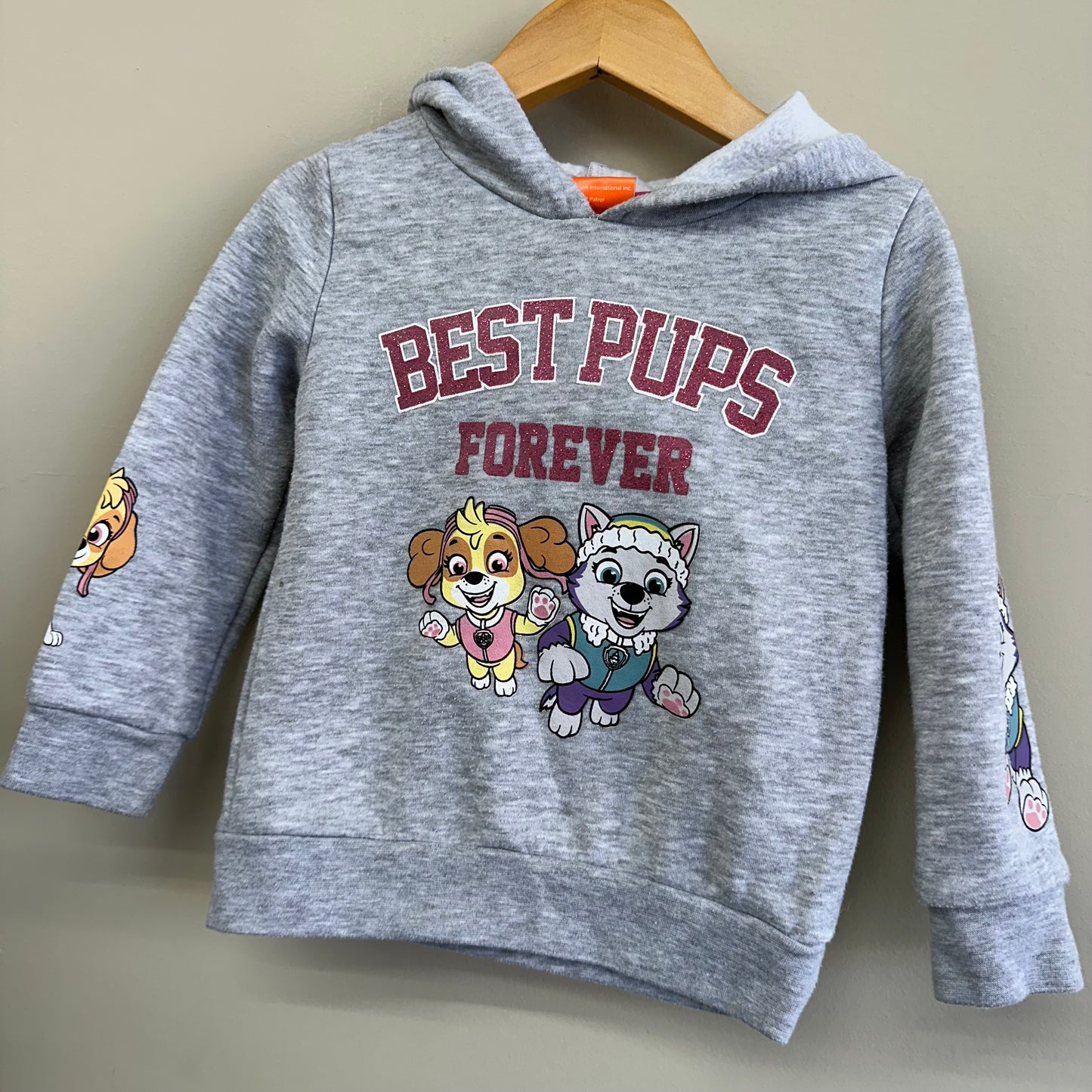 EUC Nickelodeon 3T Grey Paw Patrol “Best Pups Forever” Hoodie