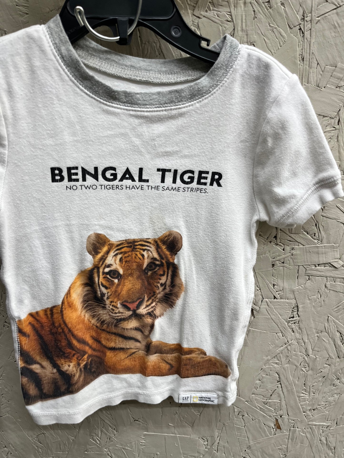 EUC 2 pc Gap 4T Bengal Tiger T-shirt & Shorts set