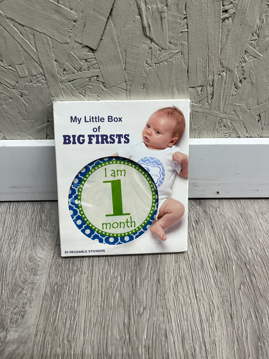 GUC GANZ My Little Box Of Big Firsts-Reusable Stickers