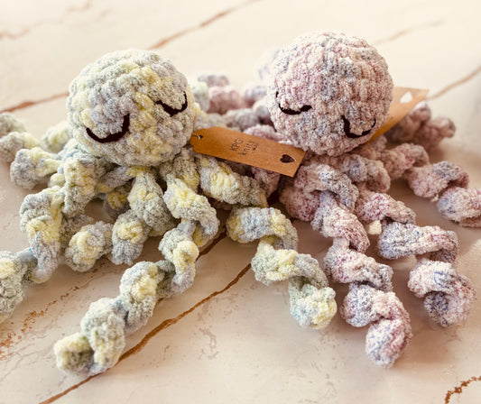 Ollie Octopus