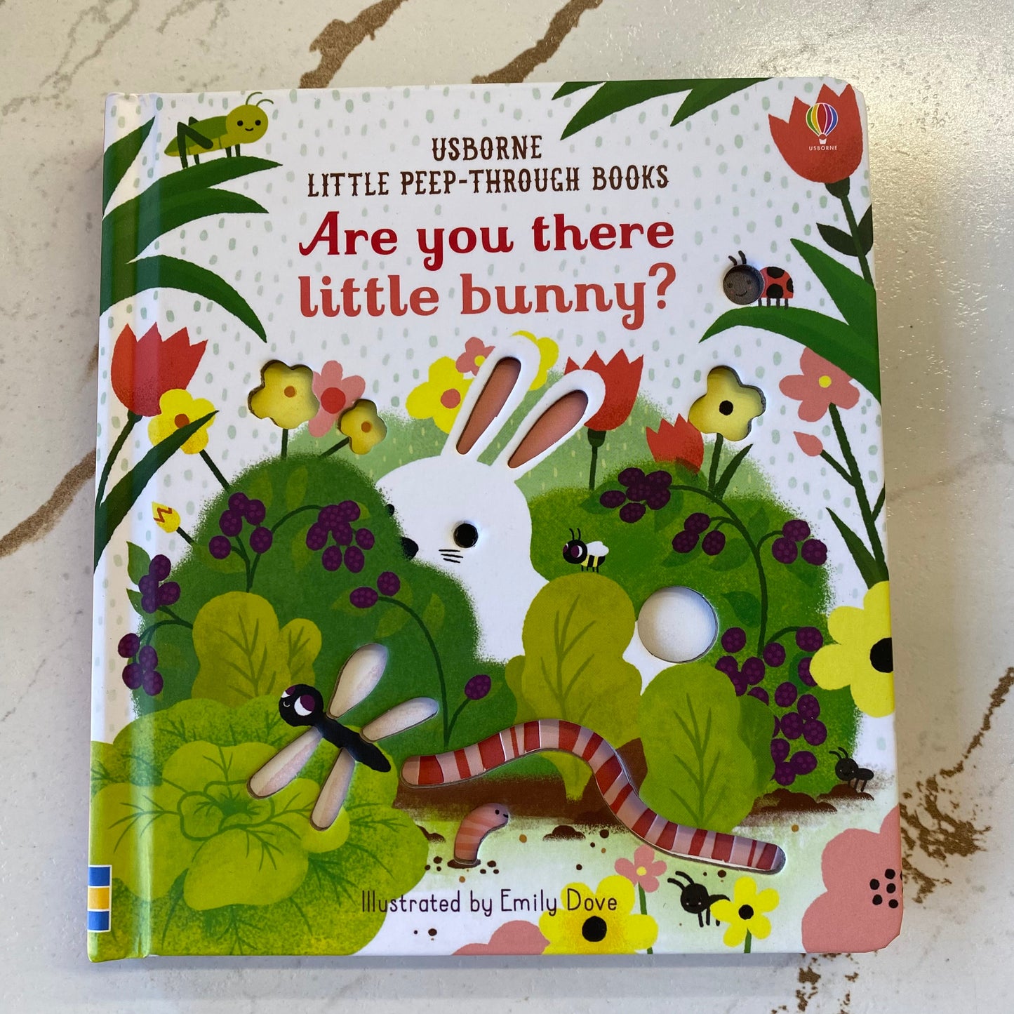Are you there little bunny?