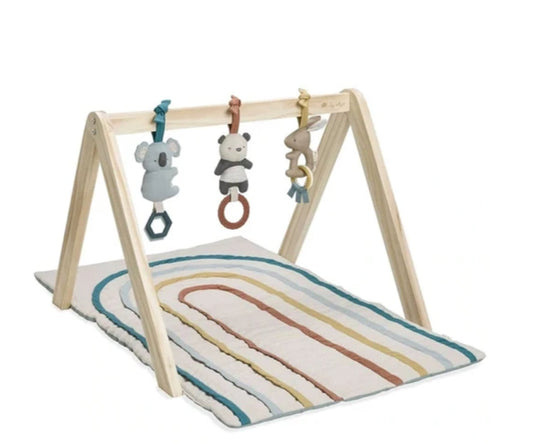 Ritzy Activity Gym with Play Mat + Toys